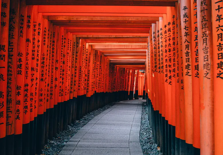 Japanin opiskelun perusteet