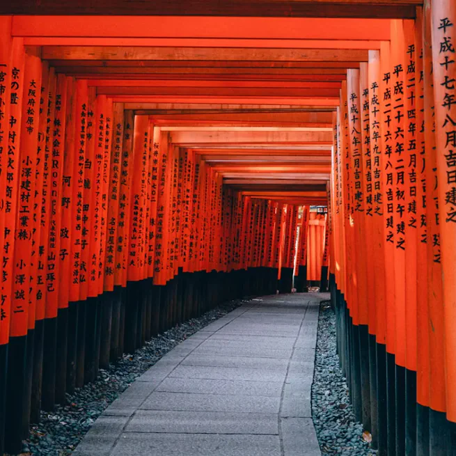 Japanin opiskelun perusteet